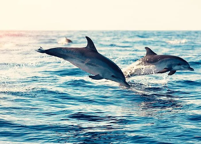 Cozy Seaside 107-9 In Orlando Appartement