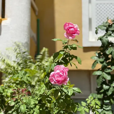 Cozy Seaside 107-9 In Orlando Διαμέρισμα Costa Adeje (Tenerife)