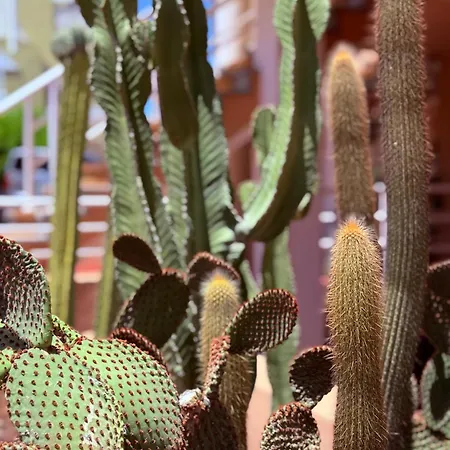 Διαμέρισμα Cozy Seaside 107-9 In Orlando