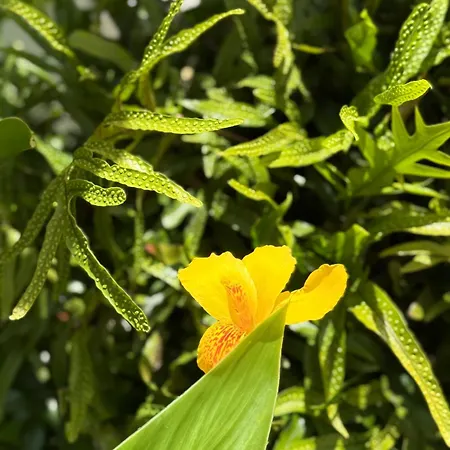 Διαμέρισμα Cozy Seaside 107-9 In Orlando *