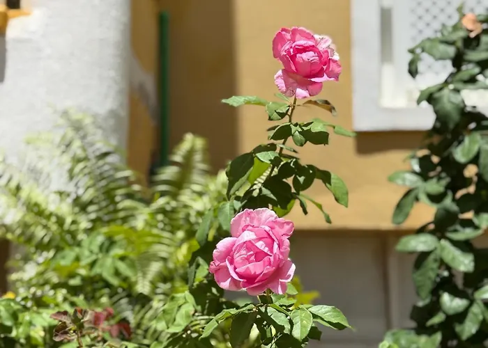 Cozy Seaside 107-9 In Orlando Apartment Costa Adeje (Tenerife)