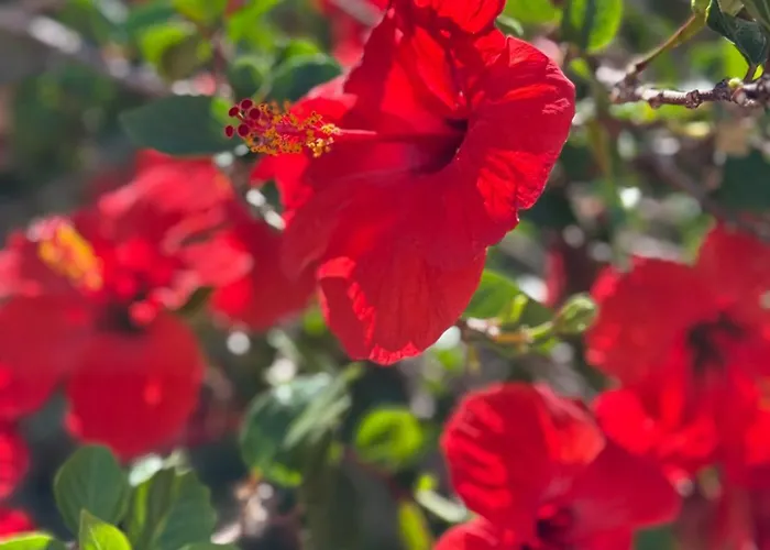 Cozy Seaside 107-9 In Orlando Апартаменты