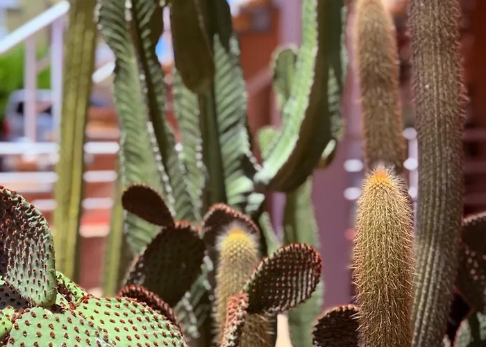 Апартаменты Cozy Seaside 107-9 In Orlando