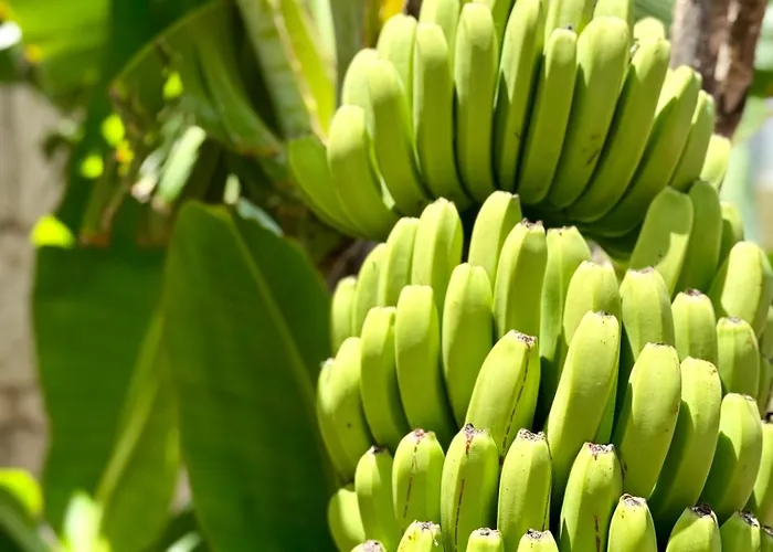 Cozy Seaside 107-9 In Orlando Адехе