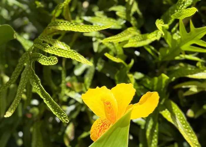 Apartment Cozy Seaside 107-9 In Orlando *